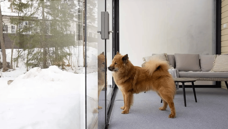 Dog beside Lumon retractable glass panels enclosing a patio in winter